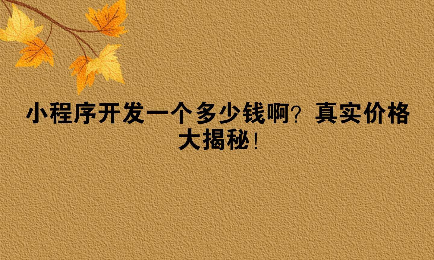快来看（小程序开发平台多少钱）小程序要多少钱能开发，小程序开发一个多少钱啊？真实价格大揭秘！，