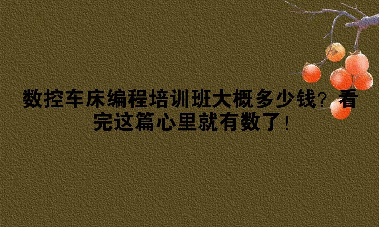 数控车床编程培训班大概多少钱?看完这篇心里就有数了!_实操_机构
