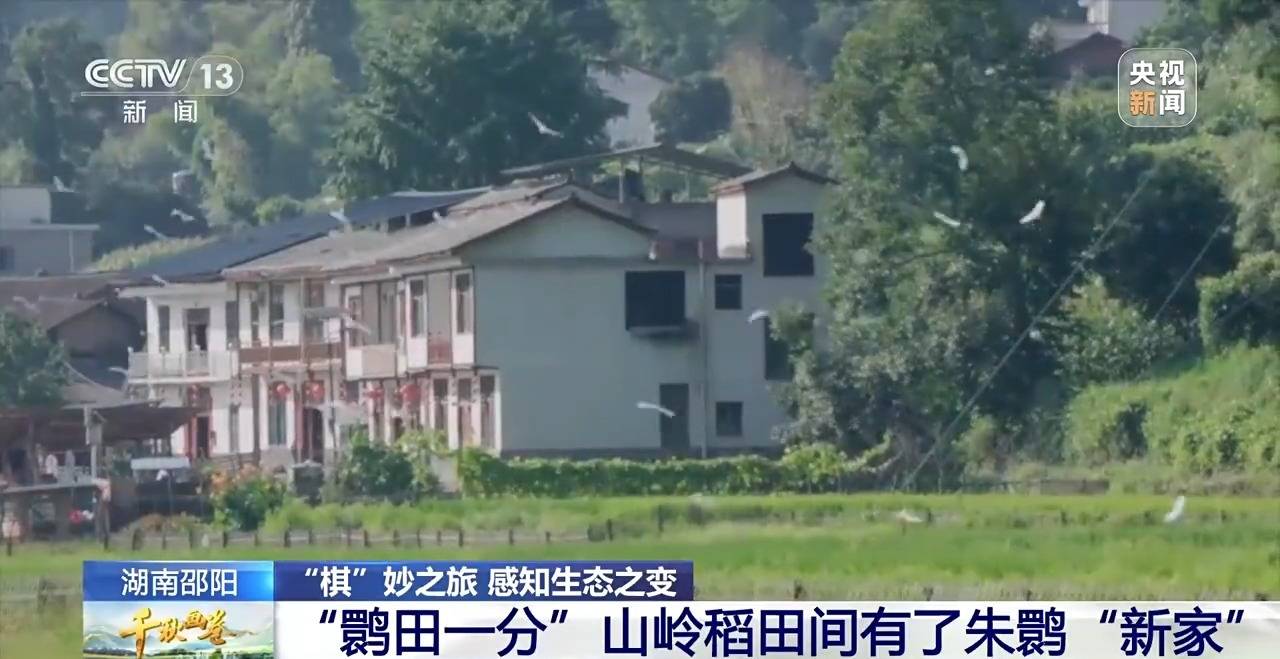 “两山”理念提出二十周年：绿水青山千秋画 万里江山共此卷
