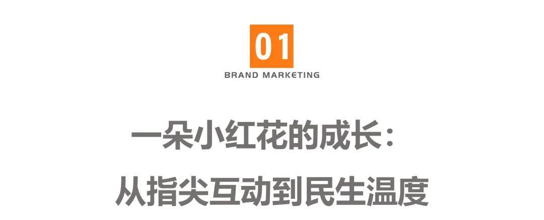 连续四年经营“双色球·送你一朵小红花”IP福彩做对了什么七星彩投注与快3彩票平台推荐？