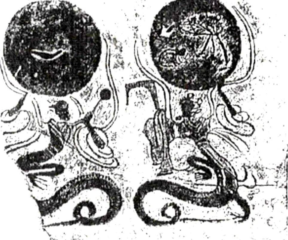 文章配图-68