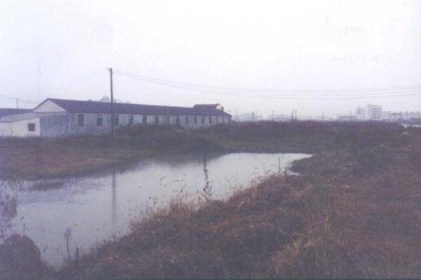 21年尹同跃由小尹成了老尹，不差钱的奇瑞为何现在要上市？