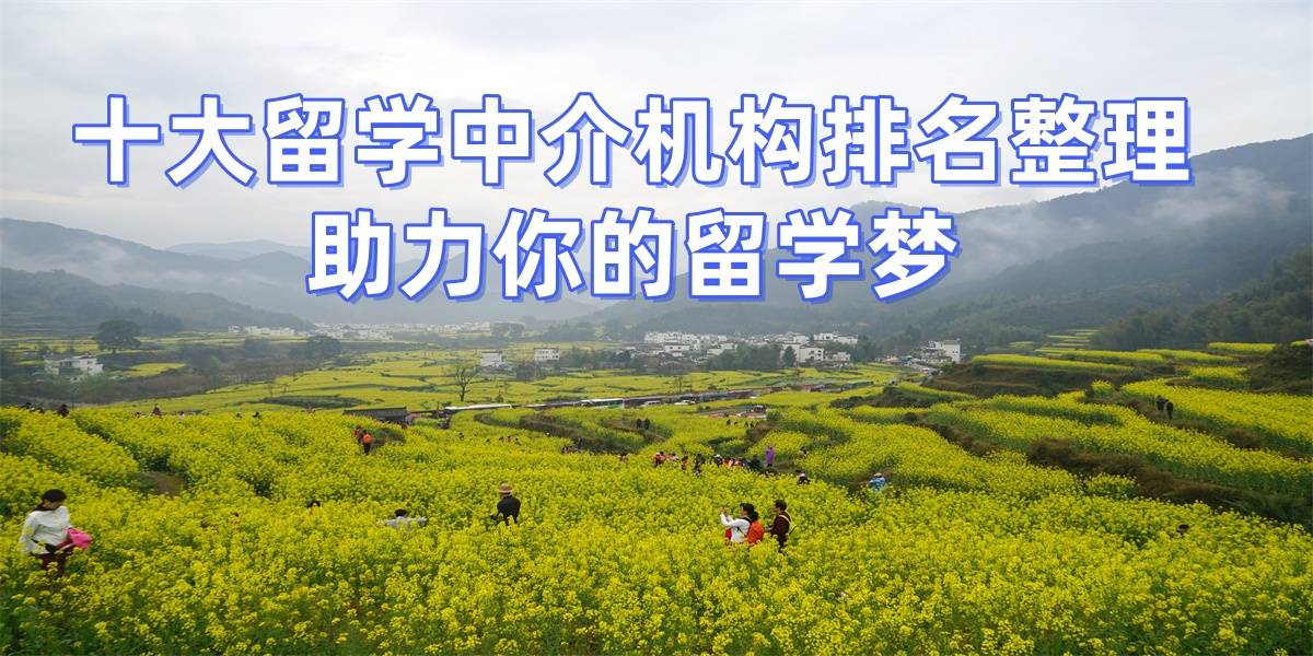 乐鱼体育- 乐鱼体育官网- APP世界杯指定平台广州留学机构十大排名榜