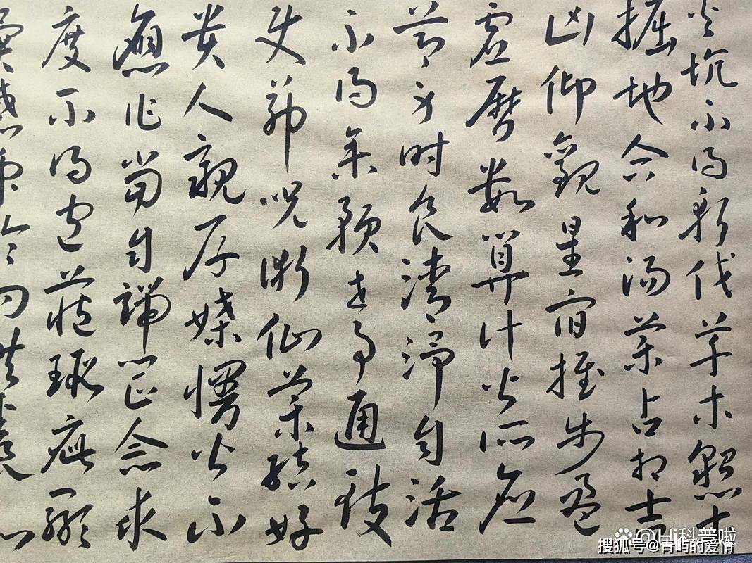 原创             外国网友：为什么英文还在不断造词进步，而中文已经停止演化了？