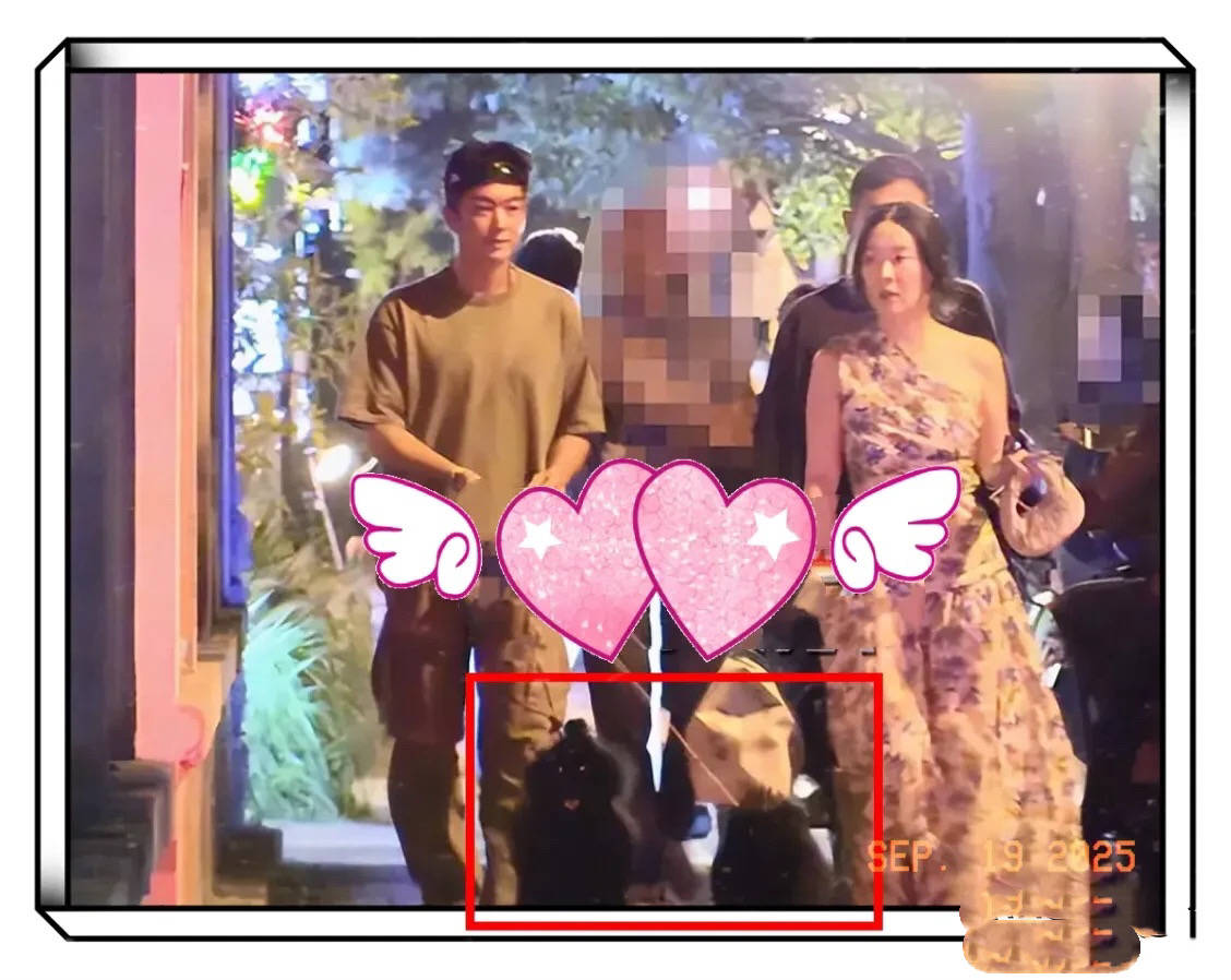 霍思燕夫妇和好友聚餐，穿单肩裙瘦出“小蛮腰”，牵三条狗真拉风