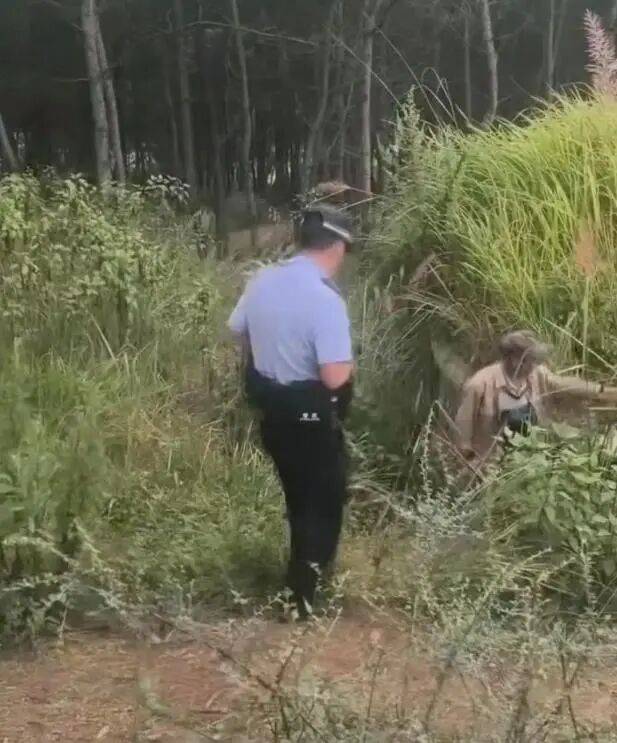 云南去世8年男子坟墓惊现盗洞，家属怀疑有人挖洞采蜂蜜，当地：警方正入户走访