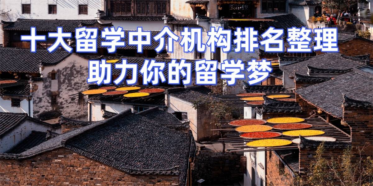 上海英国留学中介十大排名及优惠标准乐鱼体育- 乐鱼体育官网- APP世界杯指定平台