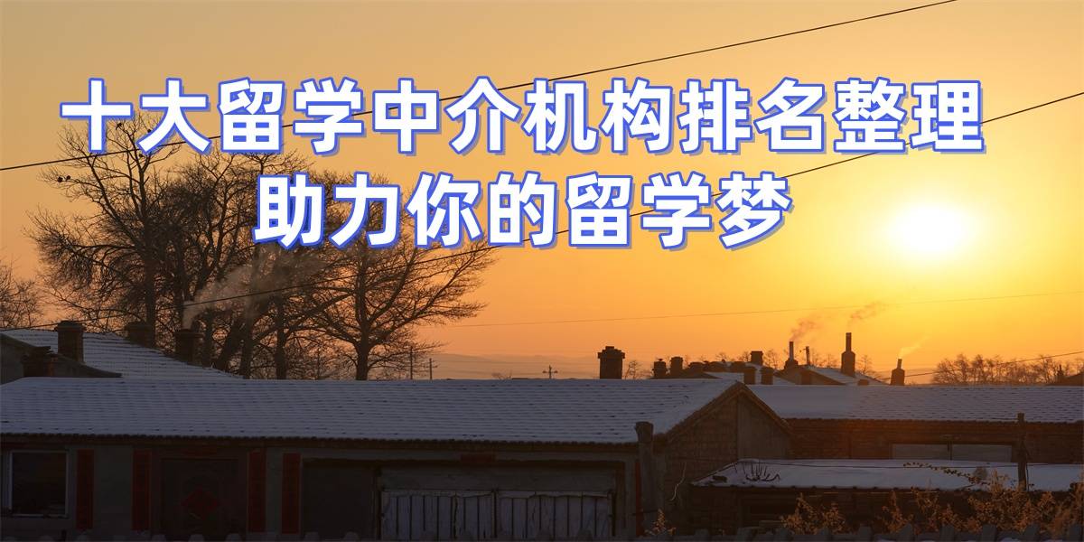 上海美国留学中介怎么样乐鱼体育- 乐鱼体育官网- APP世界杯指定平台