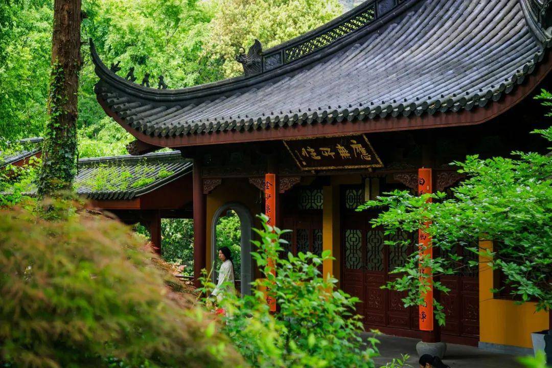 文章配图-110