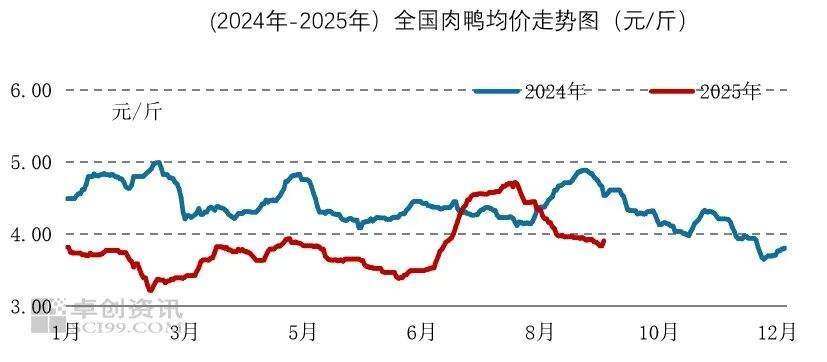 2025年10月食材采购行情：生猪价格反弹动力不足，蔬菜价格季节性上行