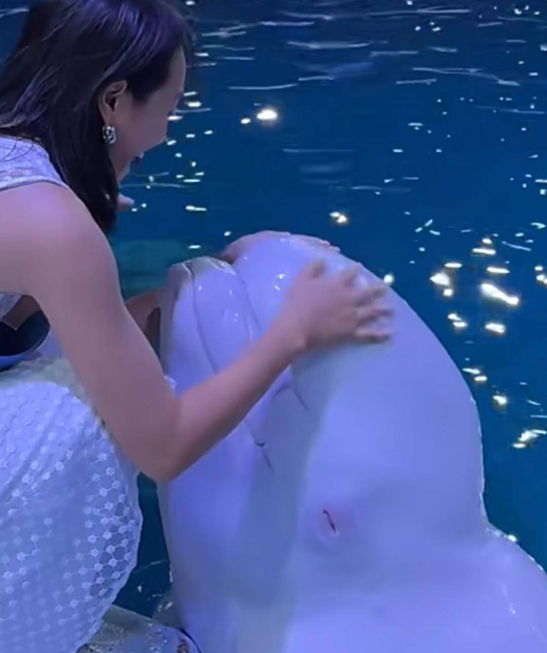 朱丹带娃度假,女儿掉牙流血,弟弟第一个跑去关心,姐弟感情真好
