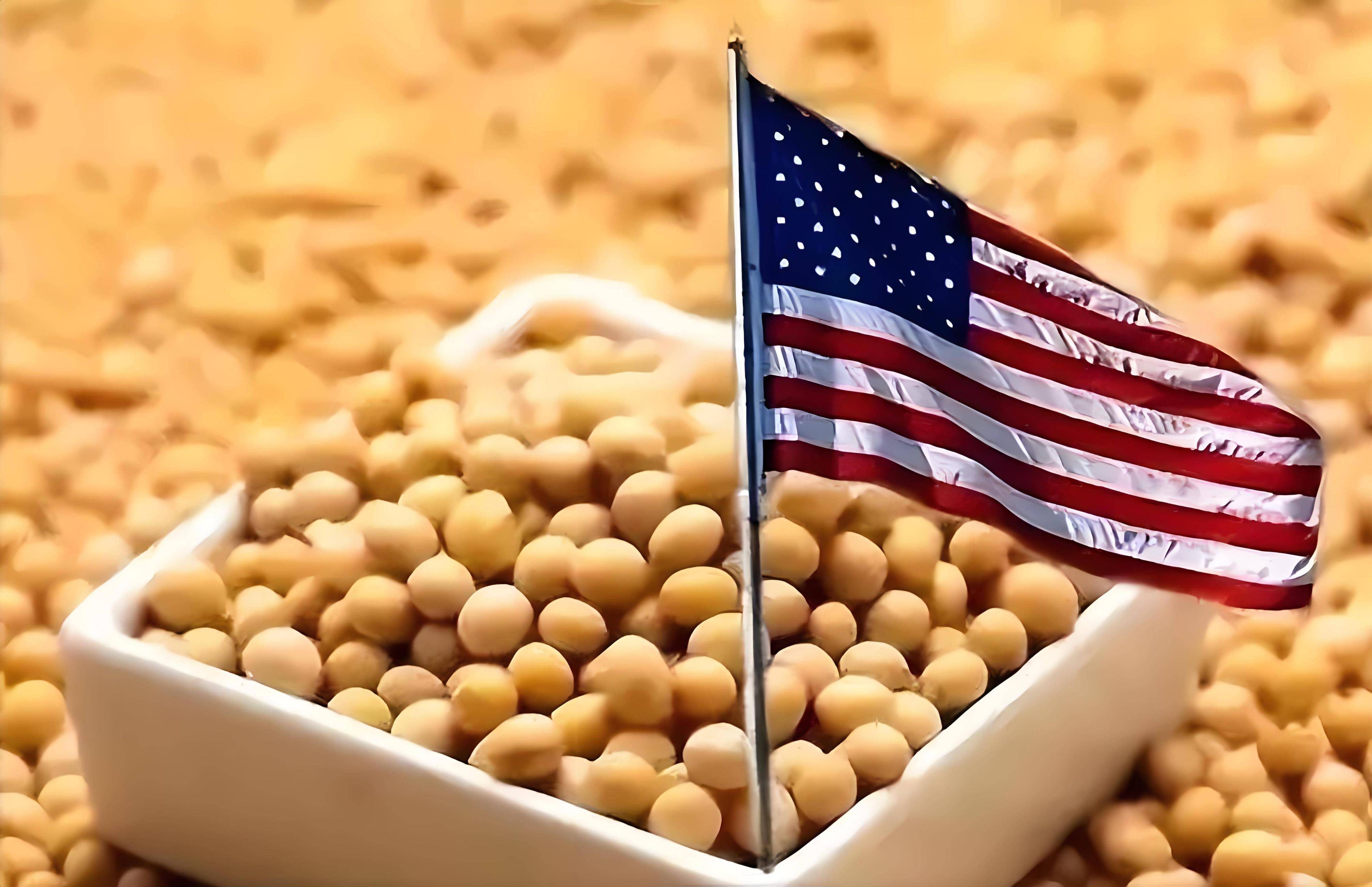 中方同意采购大豆,美国民主党人发现不对劲,美国的损失更严重了