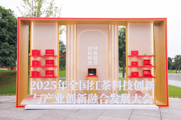 im电竞网页2025年宇宙红茶科技改进与