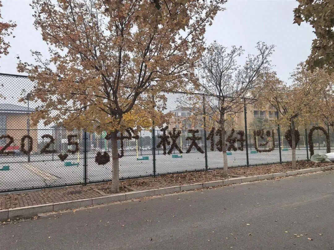 河南一医学院学生用落叶在篮球场铁网上插出心肝肺胃、注射器等图案，学校：秋日限定浪漫
