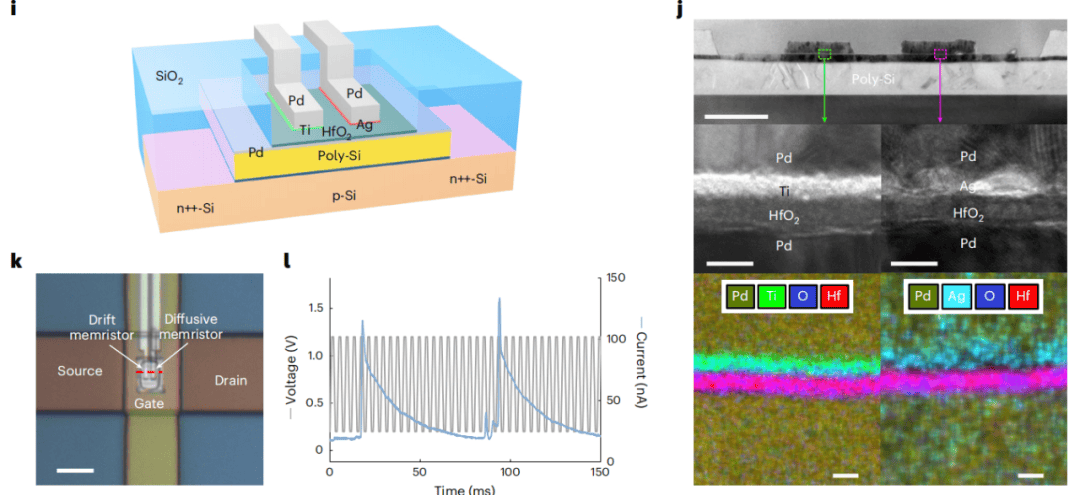 全新人工神经元面世，能耗比人脑低数千倍！或彻底改变AI部署方式
