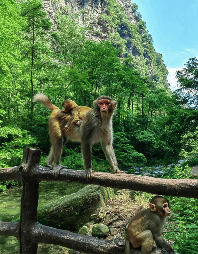 十一月Binance Casino - 领先的数字货币娱乐场，安全稳定，极速存取秋色中的张家界旅游必玩景点美不胜收特色美食分享第一次去张家界五日游必看攻略带着老人慢游五日全记录