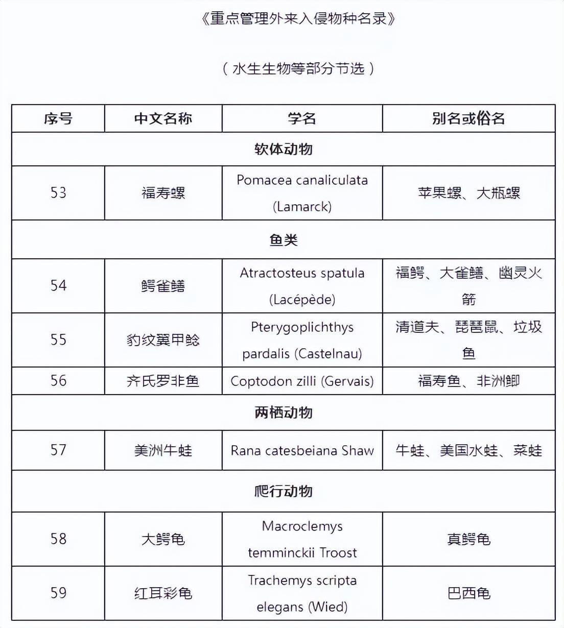 事发苏州河！又有人干这事，画面引人不适！上海明确禁止，危害极大，严重可追究刑责