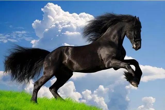 2026 想逆袭？属马、属蛇、属羊的转运指南来了