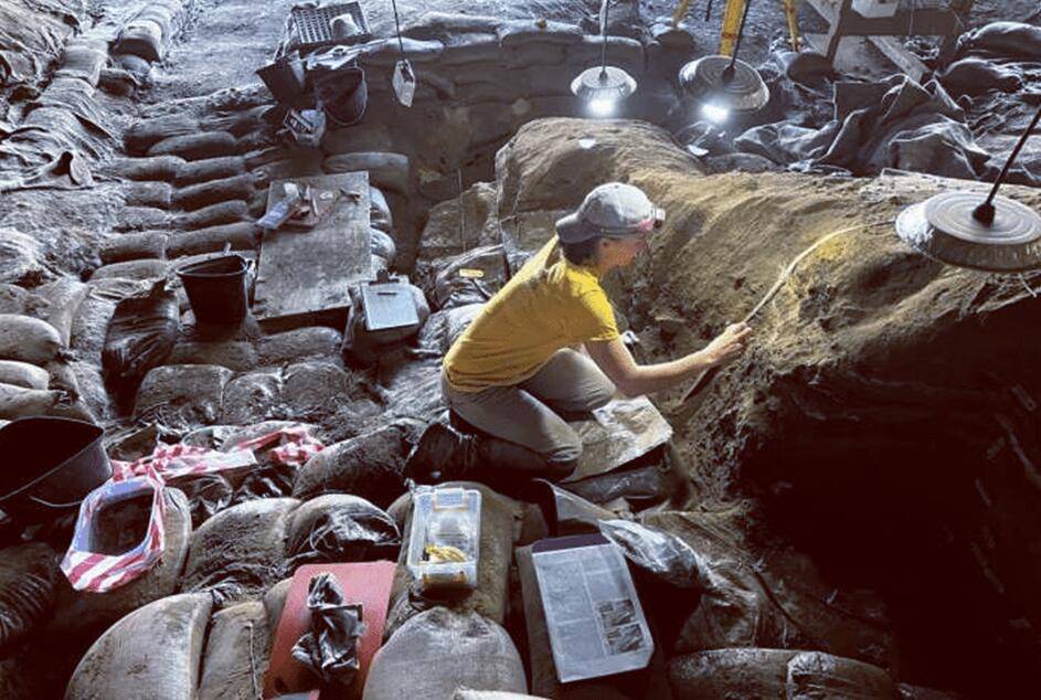 原创 科学家:我们可能错了,数万年前人类只剩1万人,罪魁祸首可能并不是史前火山大爆发