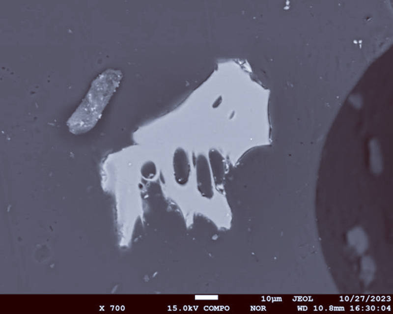 原创 科学家:我们可能错了,数万年前人类只剩1万人,罪魁祸首可能并不是史前火山大爆发