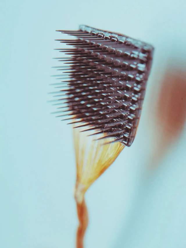 原创             接入人脑，正在中国悄悄爆发｜地球知识局