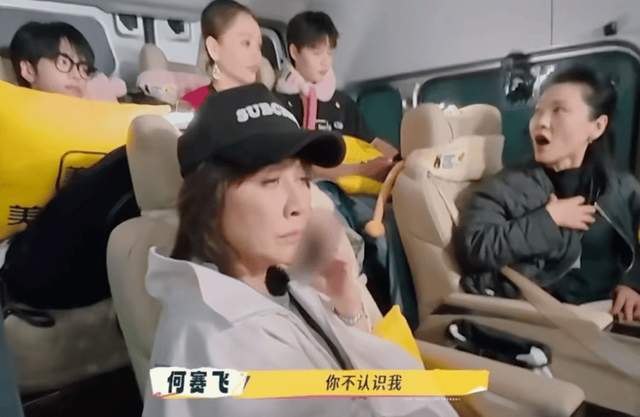 何赛飞曝有演员整容整到认不出，宁静揭导演选角偏好，倒逼人医美