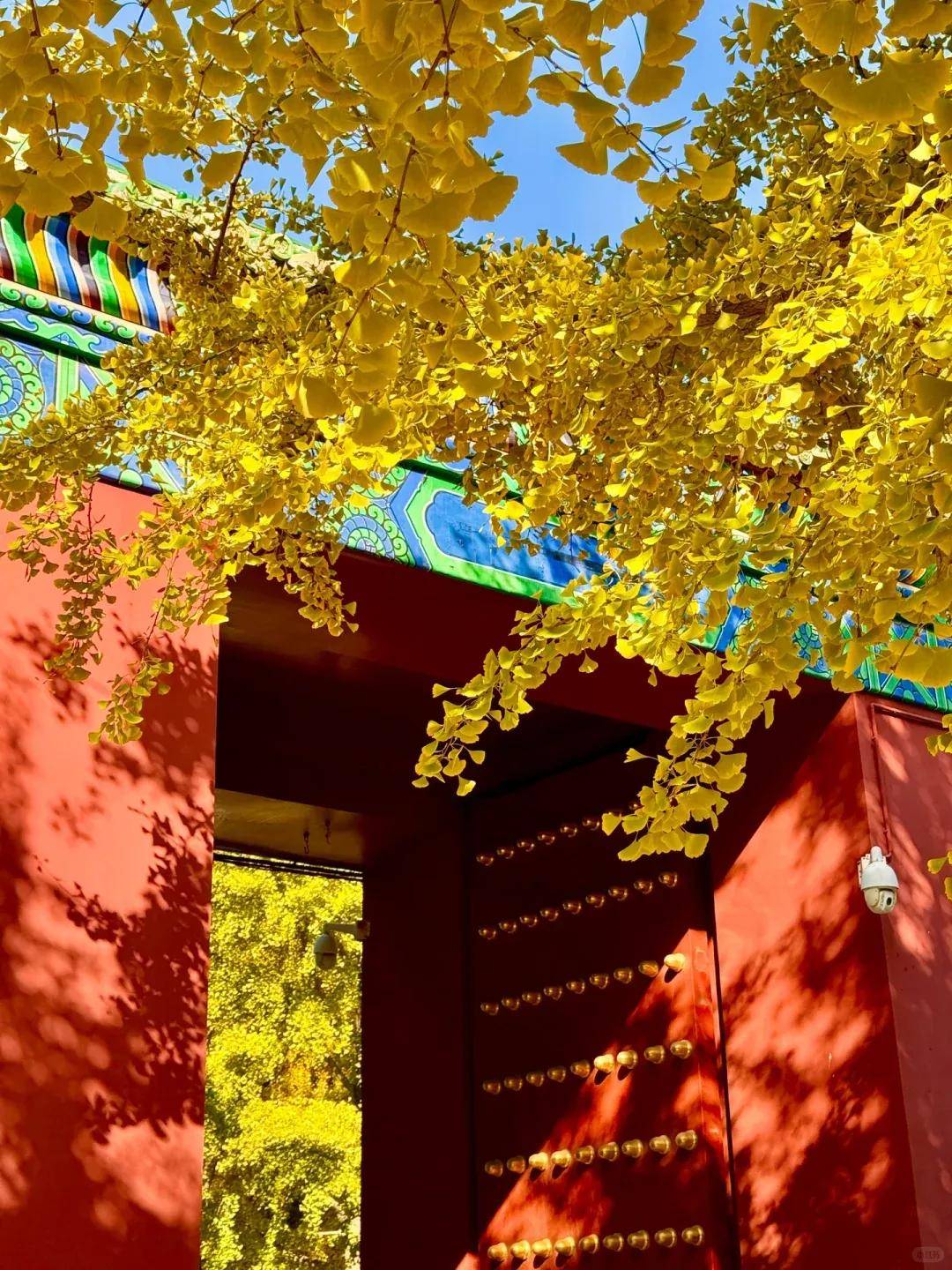 北京旅游安心攻略：2025信誉好的旅行社榜单品质之选藏在数据里【OKX 哈希游戏】区块链加密游戏玩法教程，新手必看！