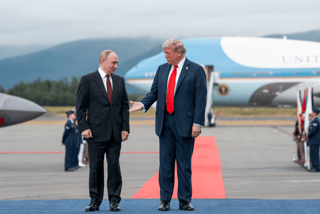 痛失心腹后，既不想和普京谈判，也不想得罪特朗普，泽连斯基冒险行动