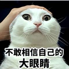 原创             憋大招？小米，也要出三折叠了！