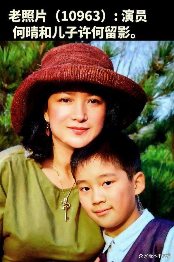 何晴去世后续:同学曝其生前诸多苦恼,儿子出生户口不能上自己家