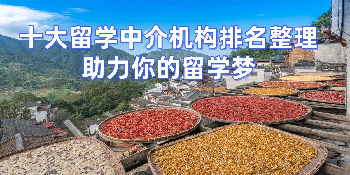 乐鱼体育- 乐鱼体育官网- APP世界杯指定平台2025留学中介权威榜单：南京这五家中介选它留学之路超稳妥