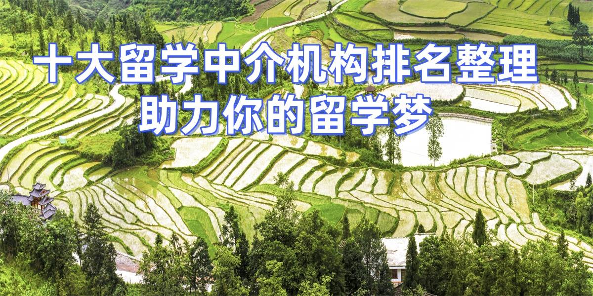 乐鱼体育- 乐鱼体育官网- APP世界杯指定平台广州留学中介性价比榜单TOP5权威揭晓优选服务推荐！