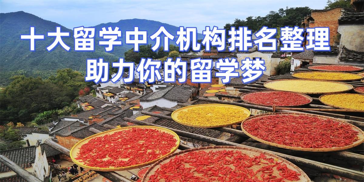 乐鱼体育- 乐鱼体育官网- APP世界杯指定平台合肥研究生留学机构排名全知道收费透明指南选中介必看