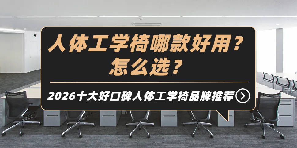 人体工学电脑椅哪款好用？2026十大好口碑人体工学电脑椅品牌推荐