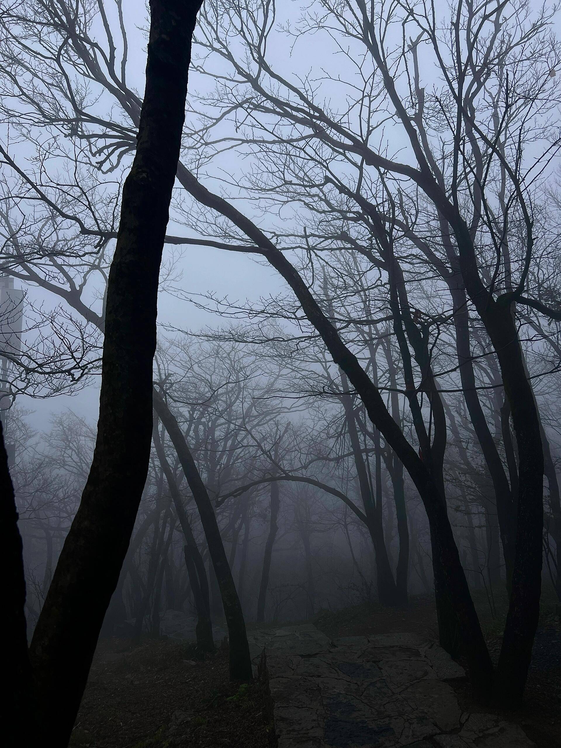 Binance Casino - 领先的数字货币娱乐场，安全稳定，极速存取去凤凰古城旅游4日游攻略凤凰古城金牌导游电话？