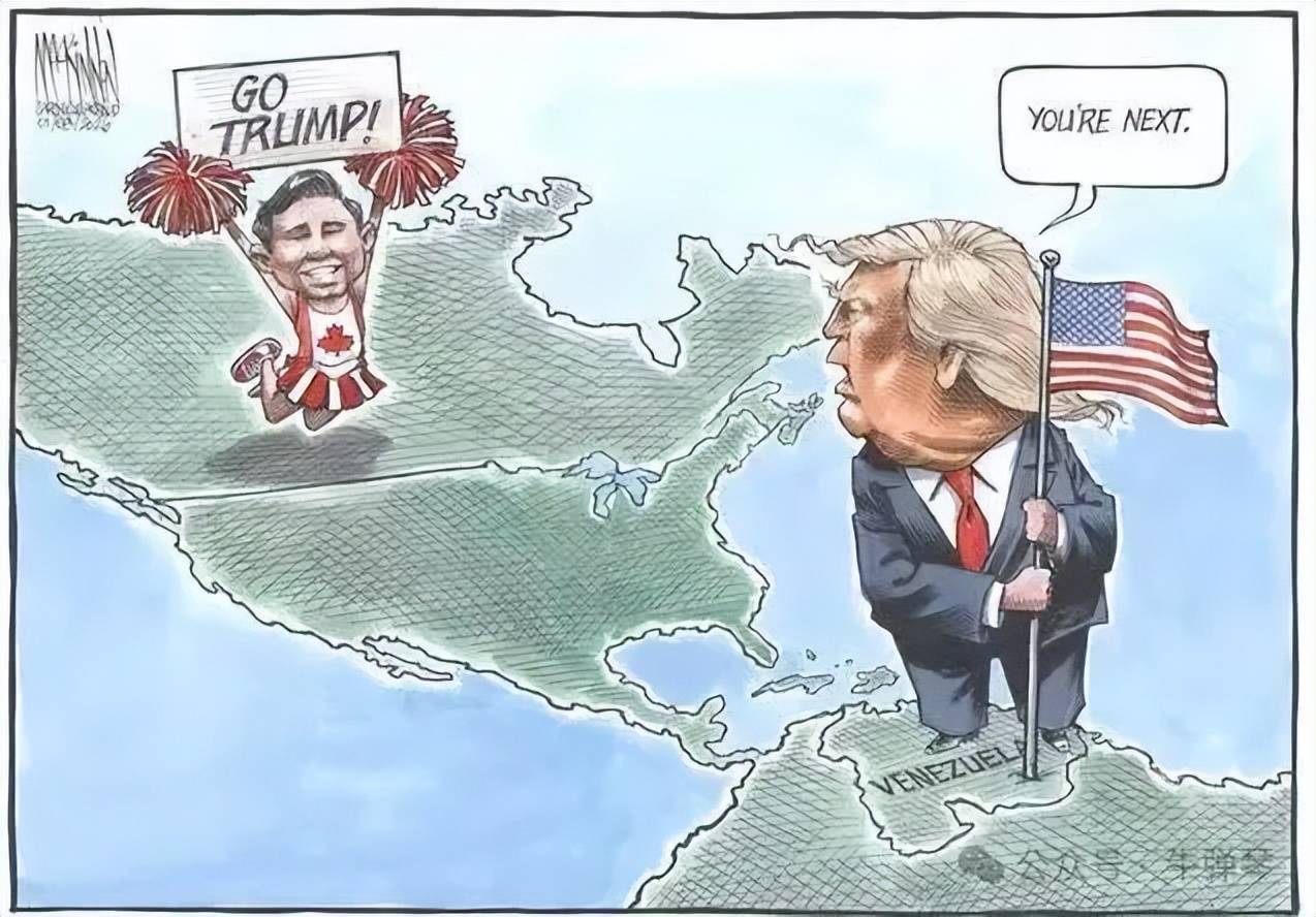 美国又开干加拿大,中国无奈躺枪