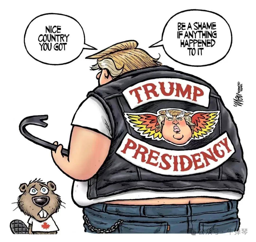 美国又开干加拿大,中国无奈躺枪