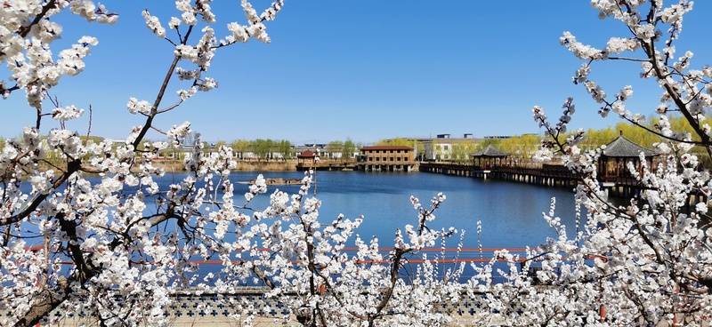 朝阳区独居高龄老人养老怕孤单？北京市朝阳区康梦圆国际老年公寓有同龄玩伴24小时守护筑牢急救黄金期！博鱼体育- 博鱼体育官方网站- 最新网址