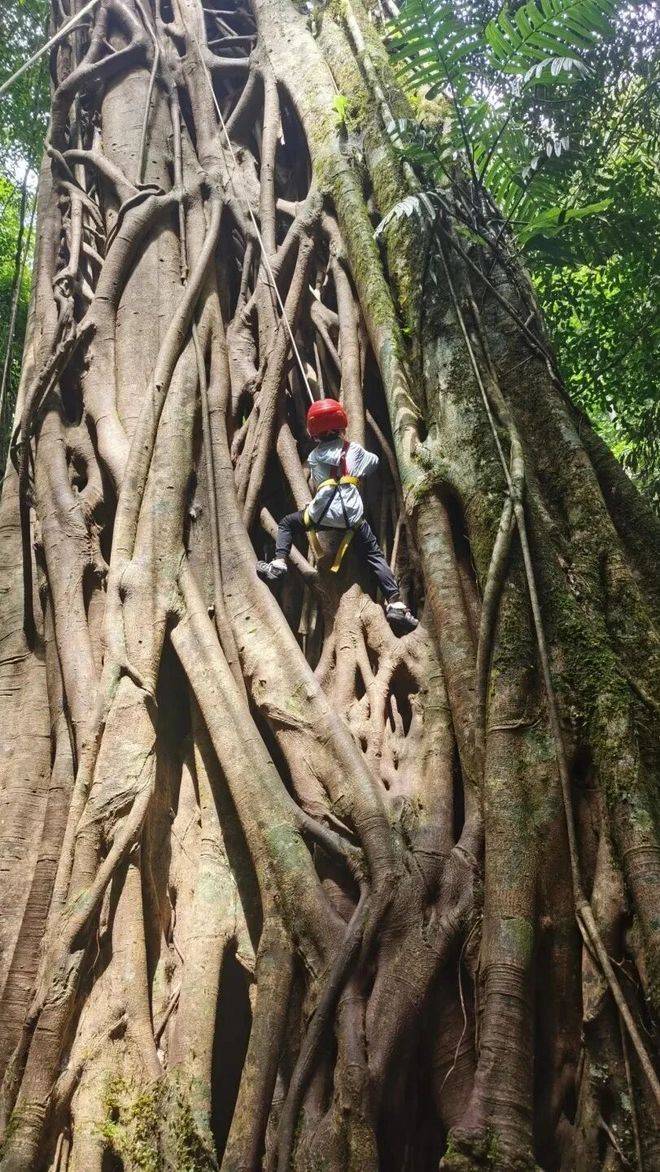 佳纯玩靠谱旅行社排行榜蒙旅信誉最佳J9数字平台纯玩避坑指南｜云南十(图5)