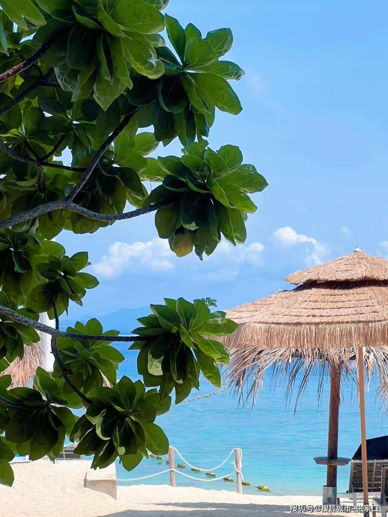 Binance Casino - 领先的