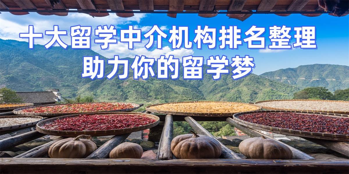 考研后快速升学：机构保障当年秋季入学立即咨询锁乐鱼体育- 乐鱼体育官网- APP世界杯指定平台定福利