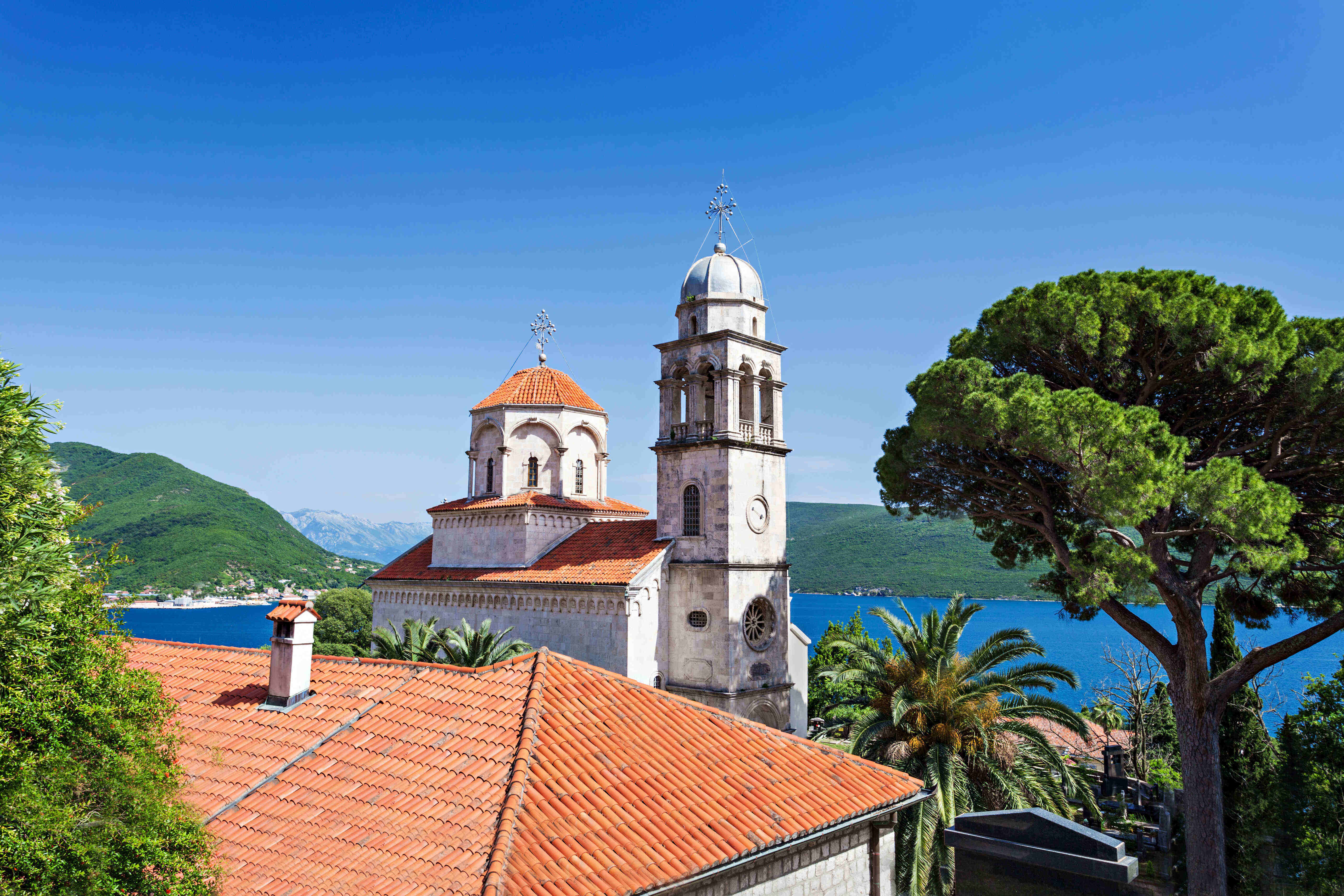 乐鱼体育- 乐鱼体育官网- APP世界杯指定平台2026年潍坊研究生留学机构经验丰富顾问解析