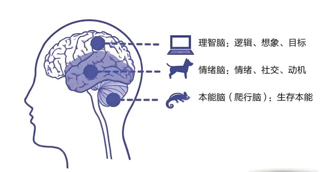 微信截图_20260129081746.png