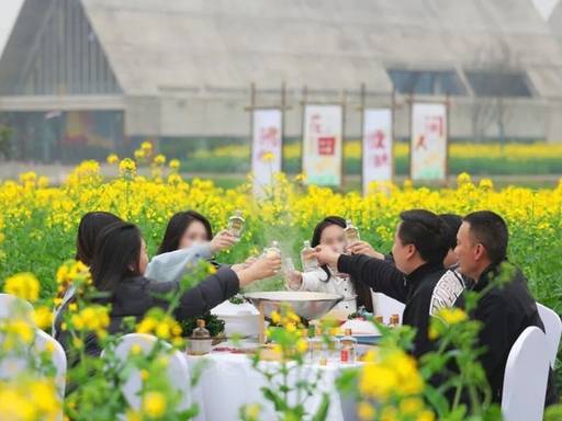 小火箭下载安卓手机版