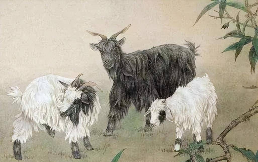 俗语：男怕属鸡，女怕属羊，老祖宗为何这样说？有什么道理？