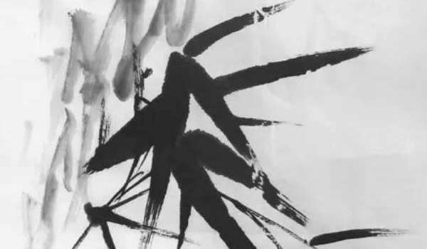 属马的本命年是多少 属马本命年运势