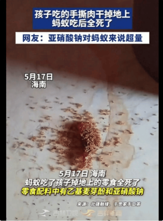 孩子零食肉干碎渣掉地上，蚂蚁吃完短时间内集体死亡，网友热议