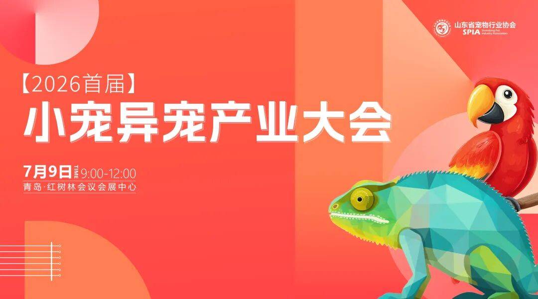 文章配图-7