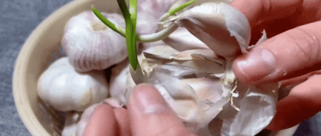
        保存大蒜，切记不要放冰箱，教你1招，放一年不发芽不干瘪，方法实用又简单
