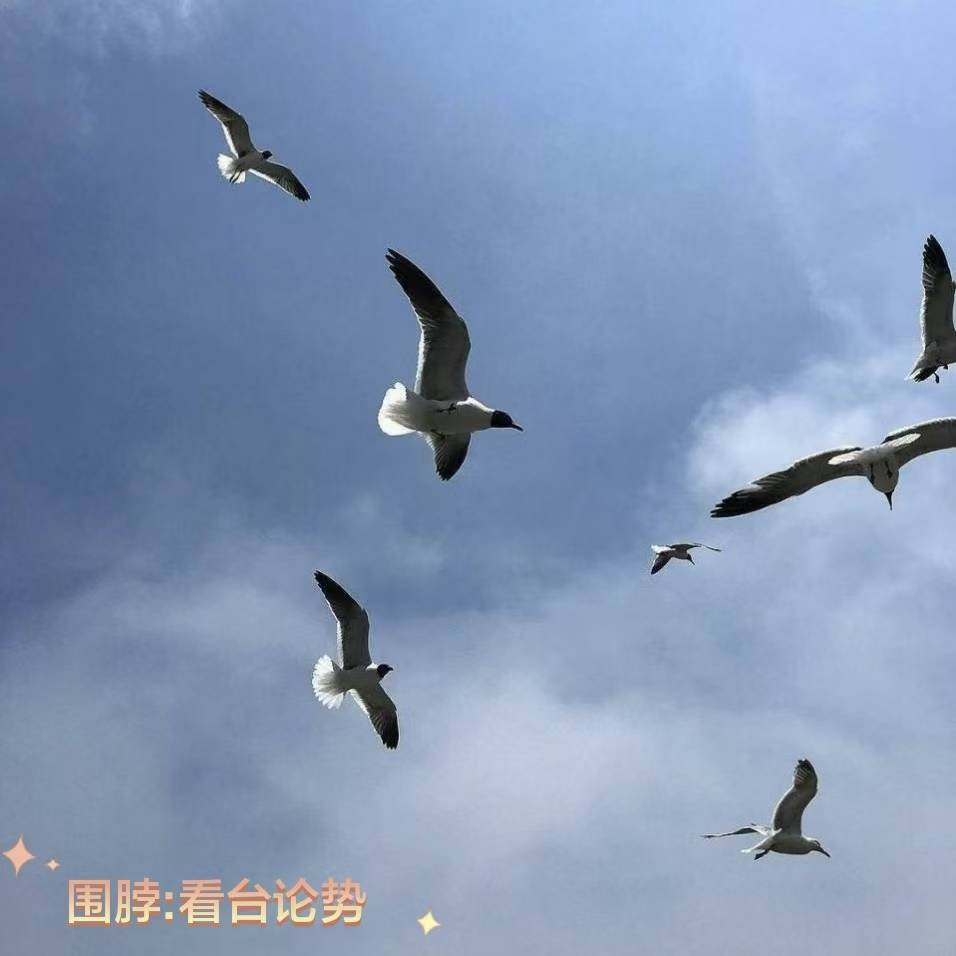 美因茨